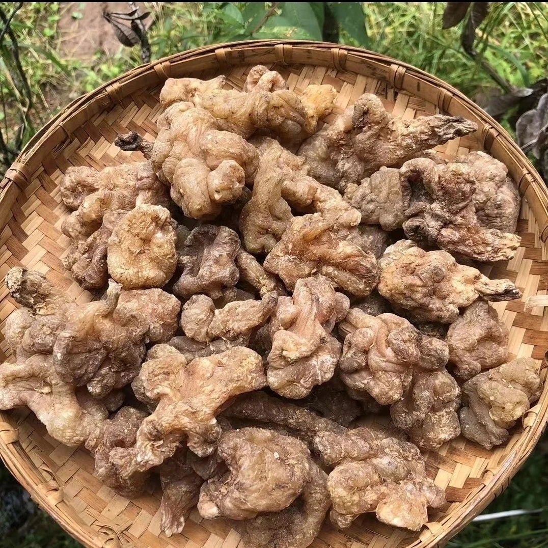 【临时链接】高海拔精选【玉精灵】（非薏米）-矣总专属