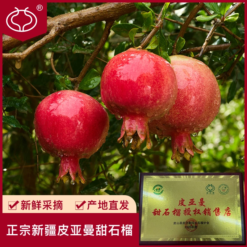 皮亚曼【果王直播间专享】顺丰包邮新疆皮亚勒玛乡皮亚曼现摘甜石榴