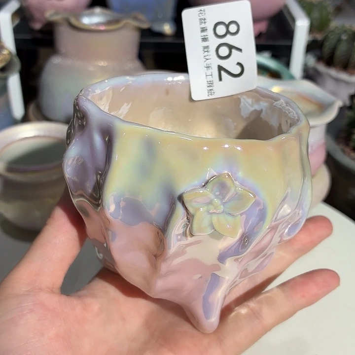 花盆，炫彩系列上新