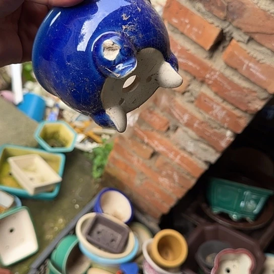 在这里我们都在寻找答案呀这