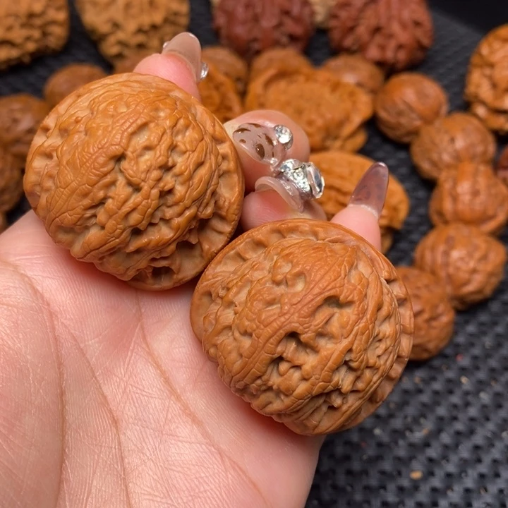 秦岭野生000000025