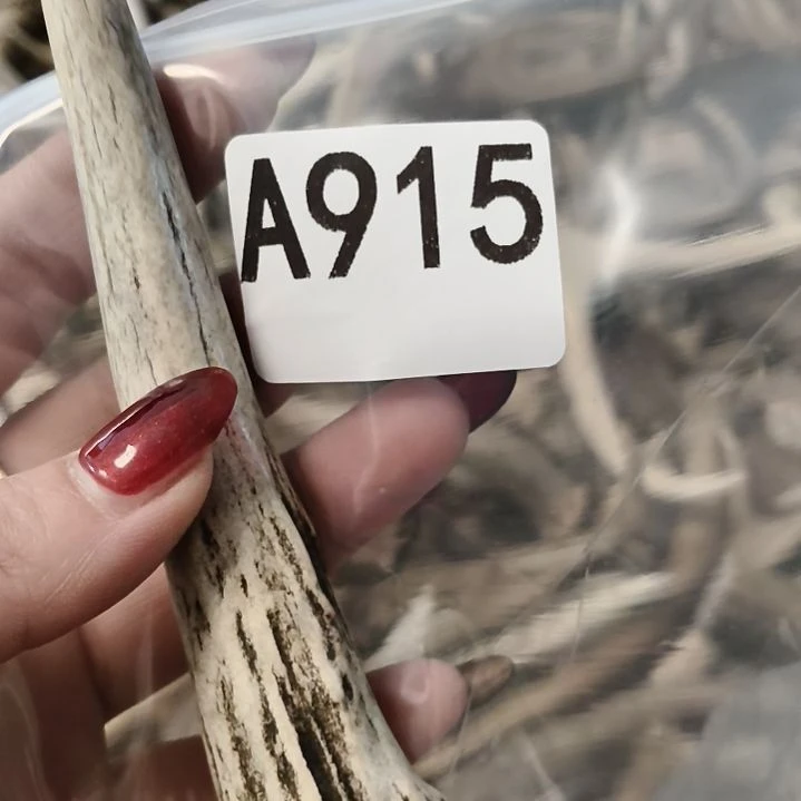 执***年鹿角鹿角鹿角鹿角鹿