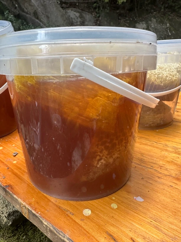 【阿宝】云南野生悬崖峭壁蜜5斤