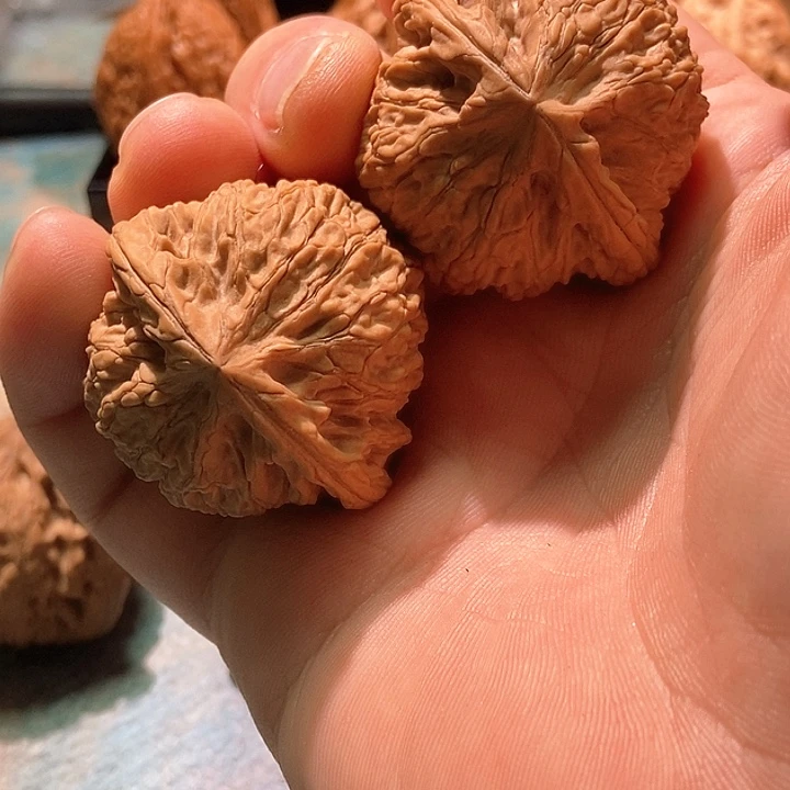 卷***哥把件文玩核桃41蛟龙