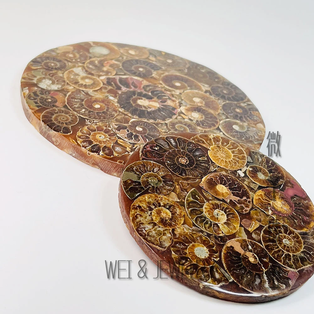 【微予能量】【杯垫】斑彩石原石螺型摆件多样性发一个