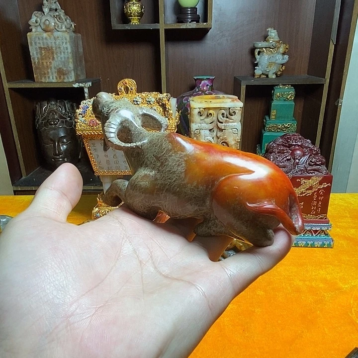 藏品介绍123456789