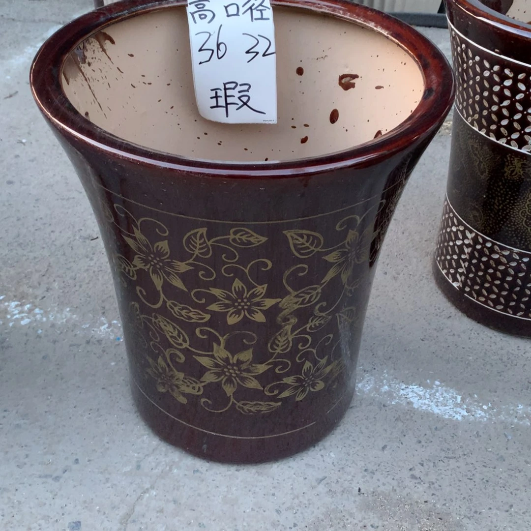 花盆里的小猫咪们都好可爱