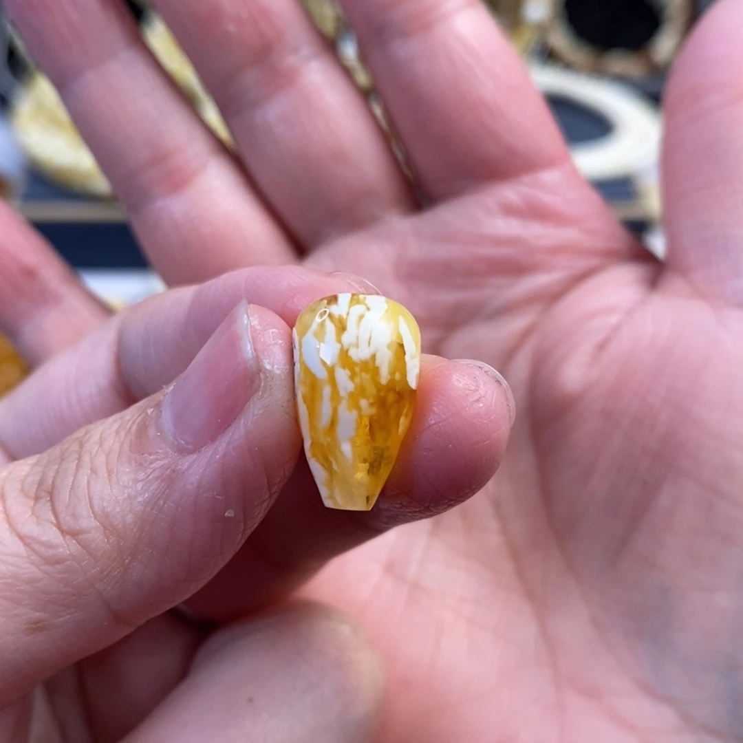 蜜蜡未镶嵌裸石金漆虎皮纹三通10.5