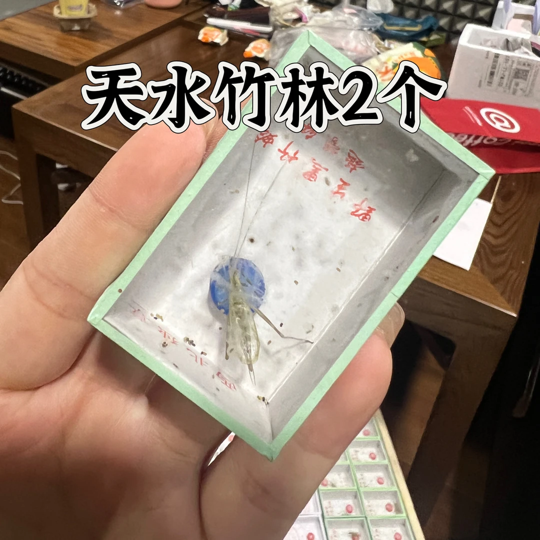 天水竹林 模型玩具。2个