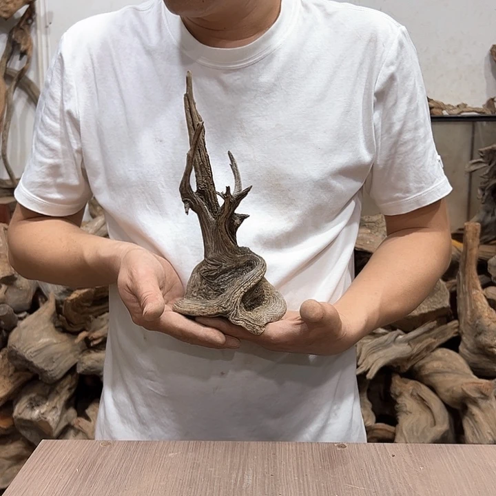 柏木连****资我们的生活是以自己为