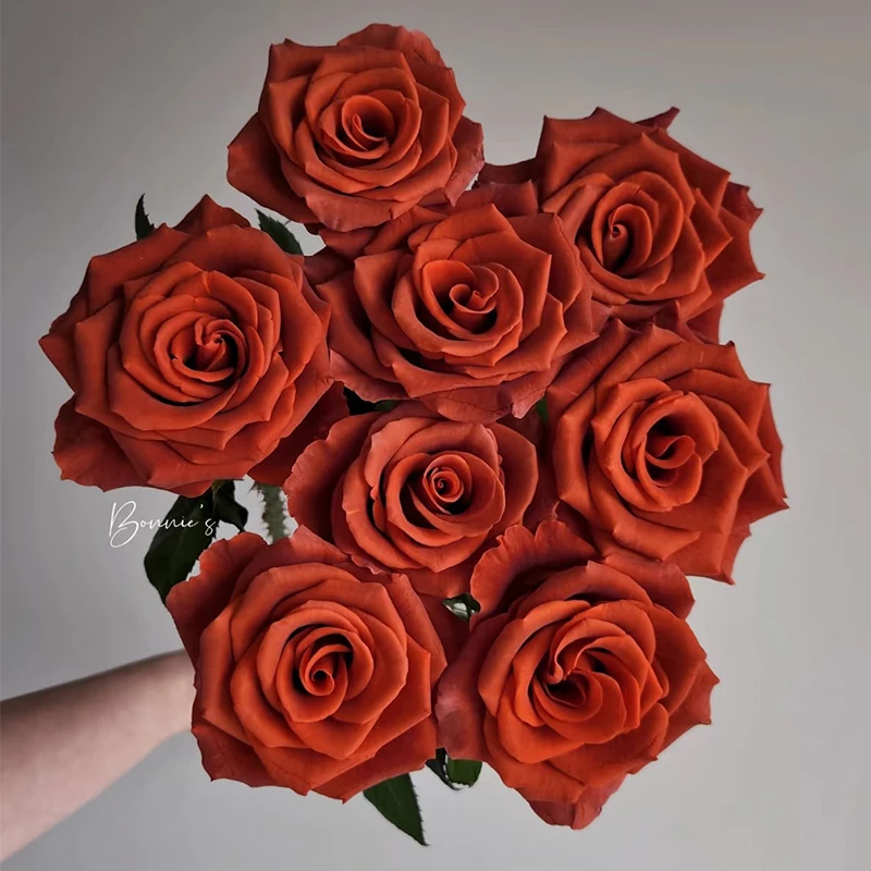 【杏仁酒】玫瑰【4单包邮顺丰空运部分地区走陆运以发货为准】