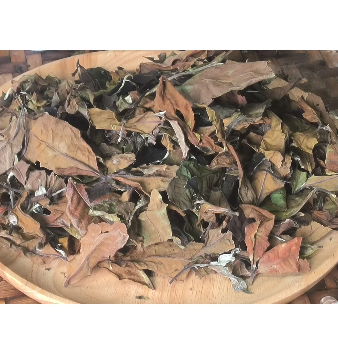 2024年正气塘白茶散茶1-25日52号