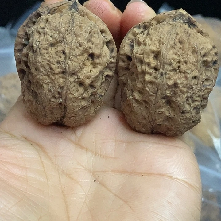 文玩核桃把件云南铁核桃基地50