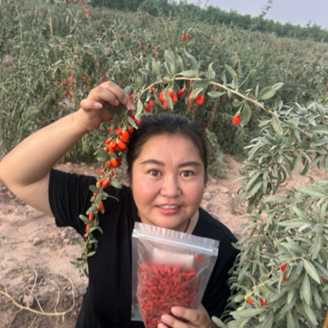 25年新疆头茬红枸杞自然晾晒未硫熏中大果混装枸杞子苹果园