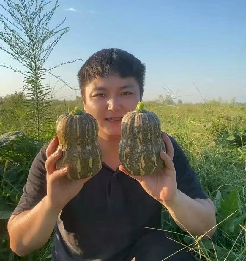 新鲜金香南瓜营养宝宝辅食花生南瓜新品种软糯香甜农家自种南瓜