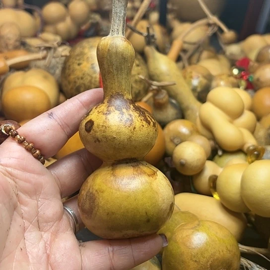 ꧁**꧂葫芦葫芦hu lu hu lu