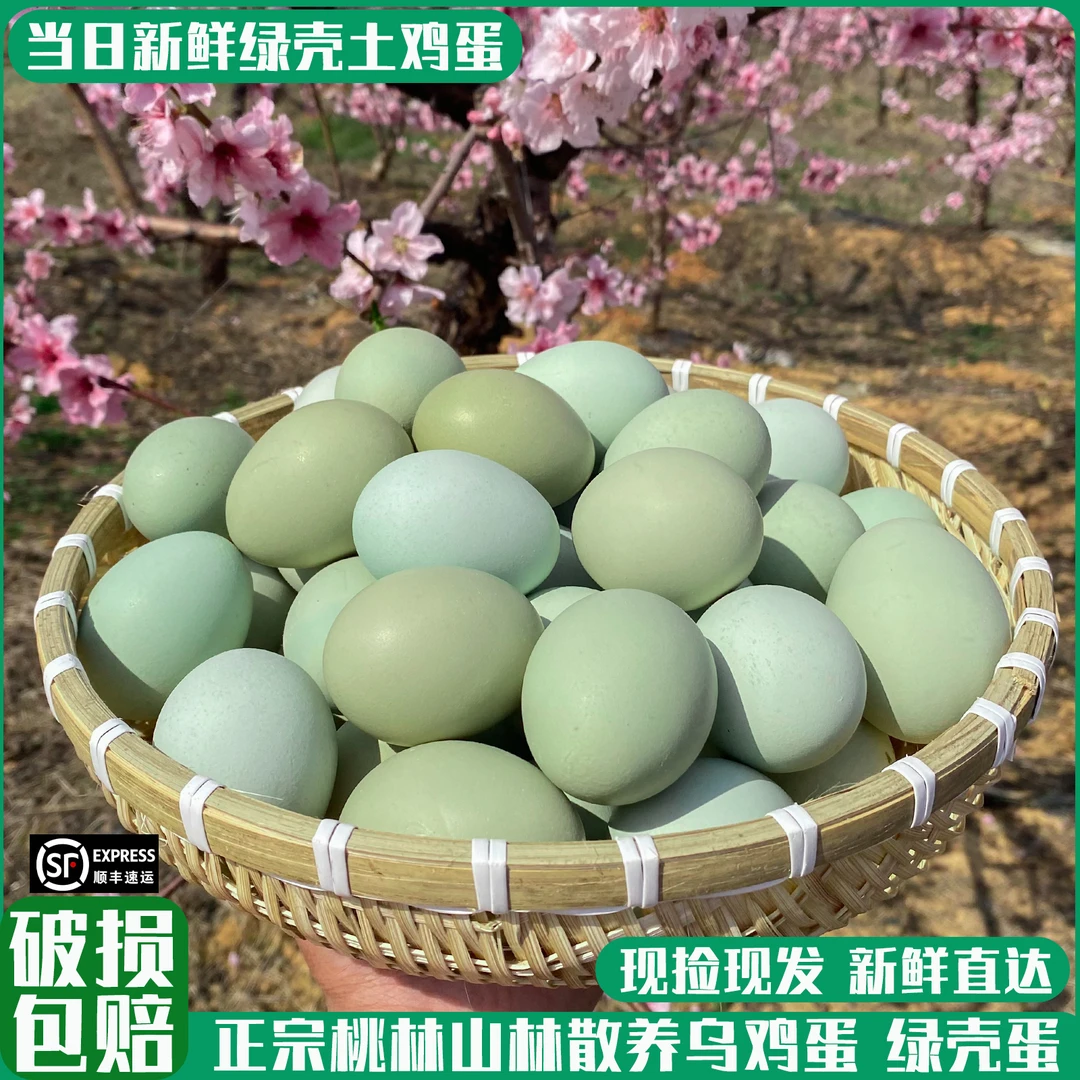 桃树散养乌鸡蛋绿壳蛋农家散养土鸡蛋新鲜鸡蛋土鸡蛋现捡现发顺丰