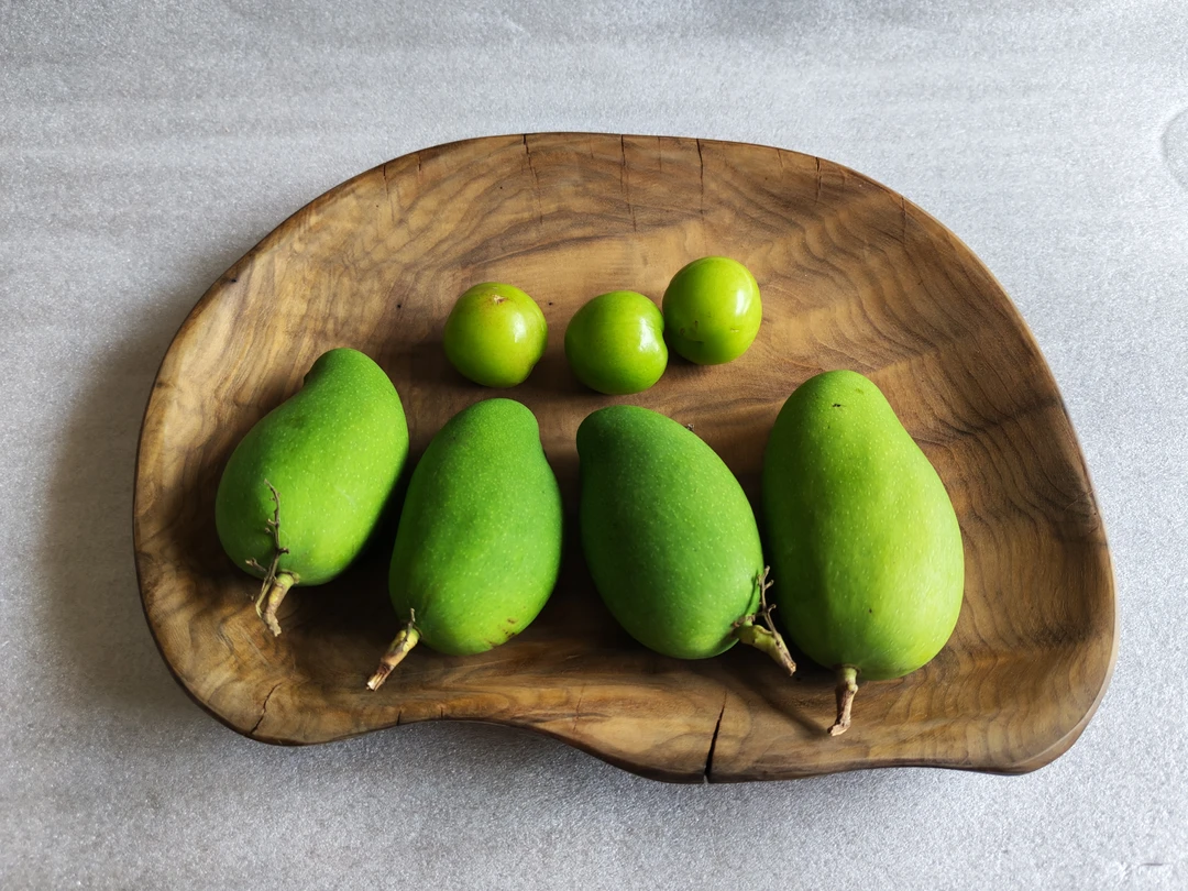 侘寂风 老楠木 随形茶果盘 爆满金丝