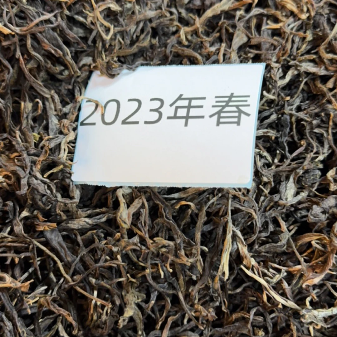 2023年大树混采生普