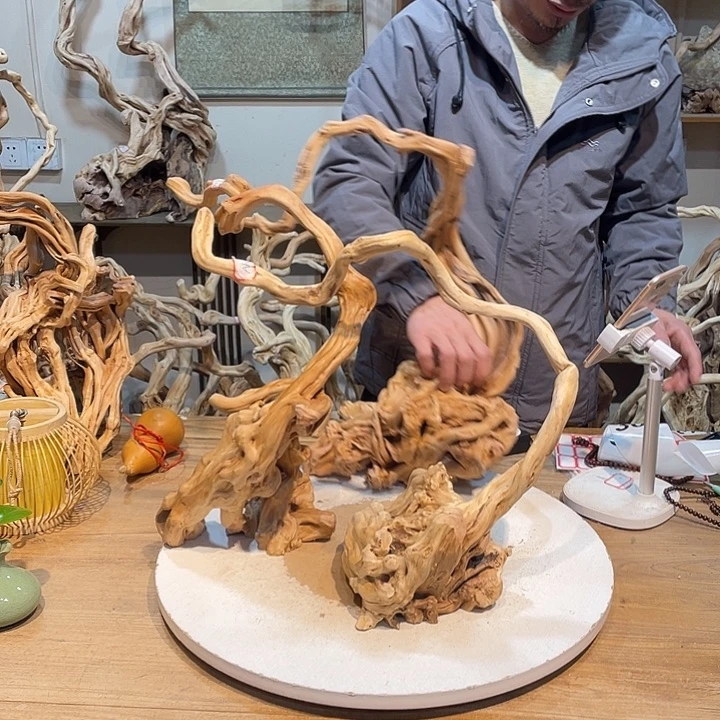 安***选香榧木杜鹃根天然根艺十