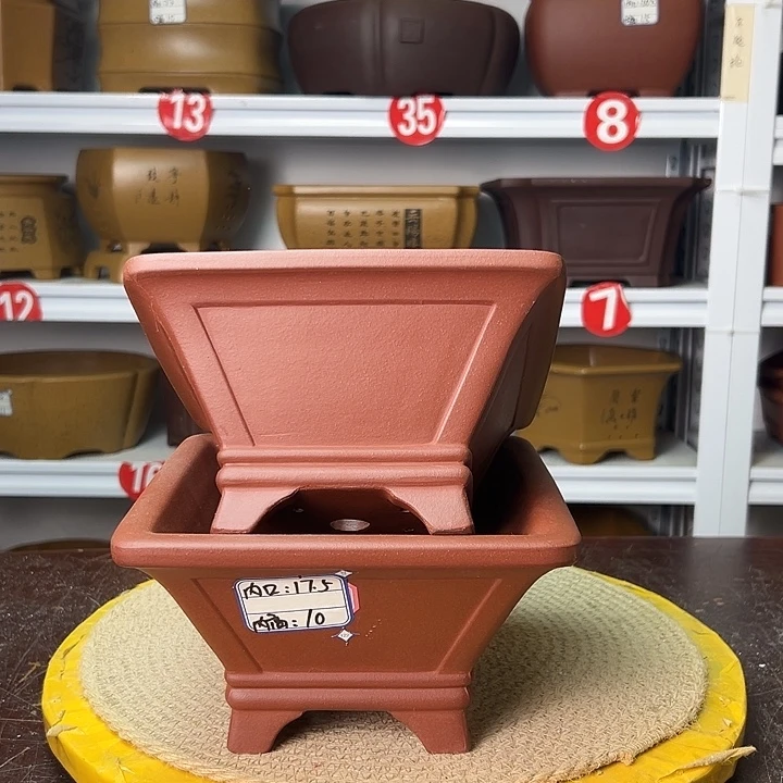 紫砂花盆你在一起