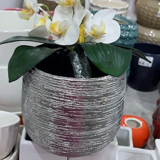 多肉绿植陶瓷花盆9.9包邮，有孔