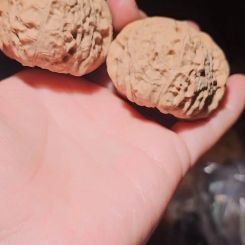 落***秋文玩核桃吊坠47南瓜