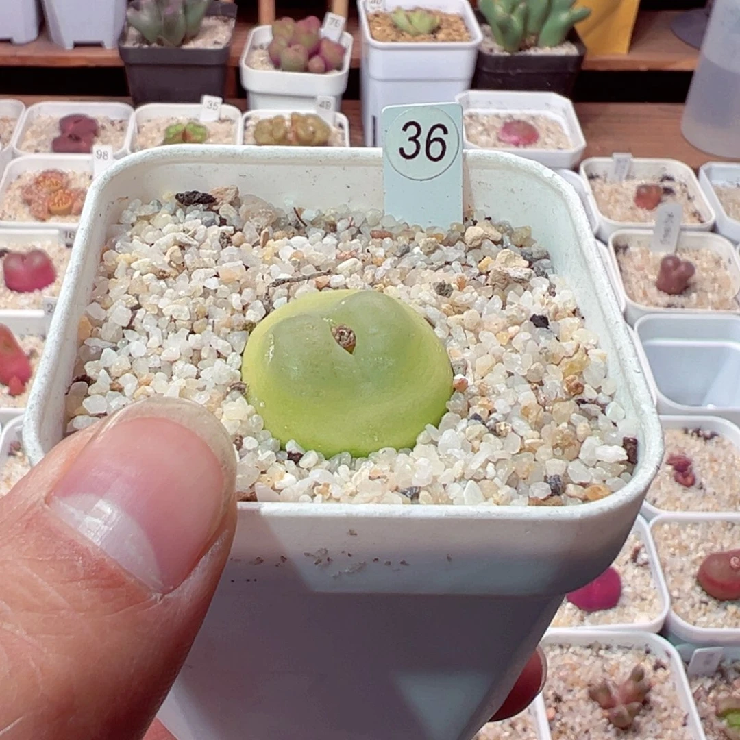 ?***?305-496.我是真的