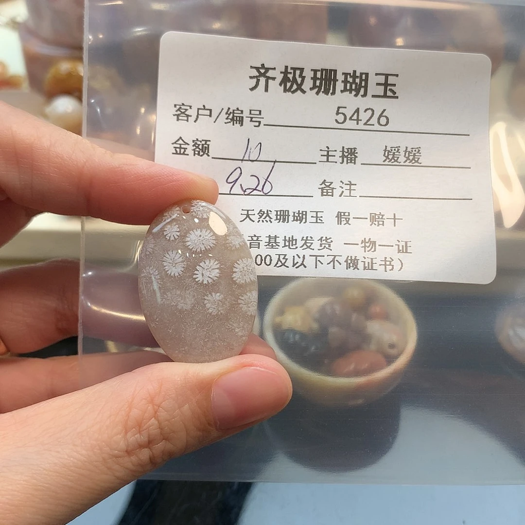 颈饰未镶嵌硅化珊瑚(珊瑚玉)?***?