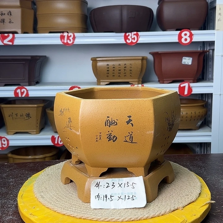 紫砂花盆你在一起
