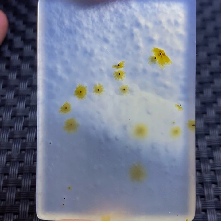 狼***抱未镶嵌颈饰玛瑙/玉髓