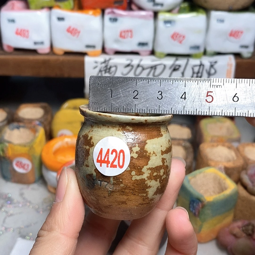 红陶拍5送一个小