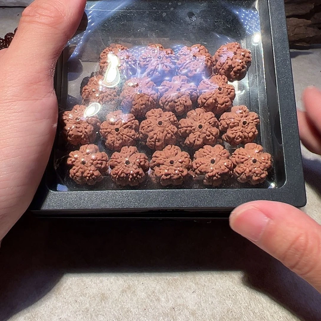 金刚菩提手串小花王16尺寸左右福利