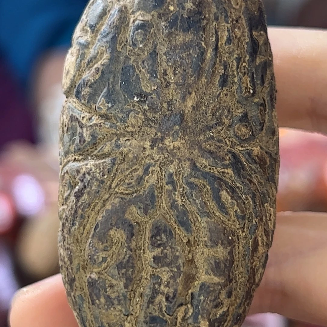 千眼菩提吊坠福利