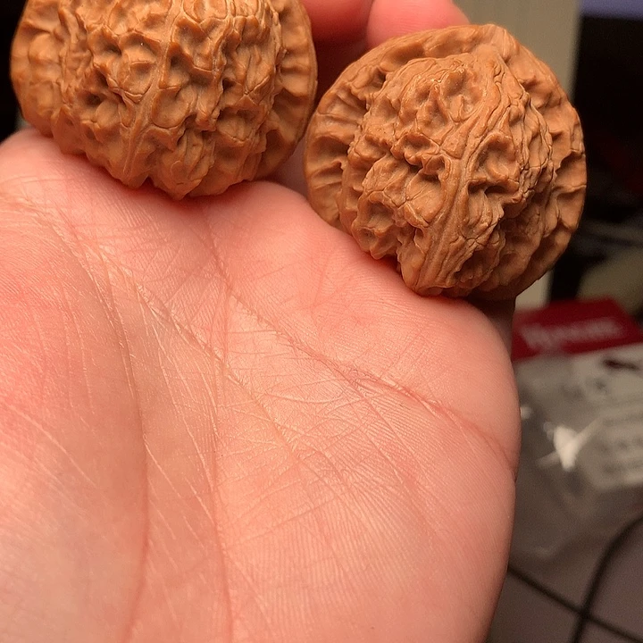 40尺寸瑕疵三角白文玩核桃