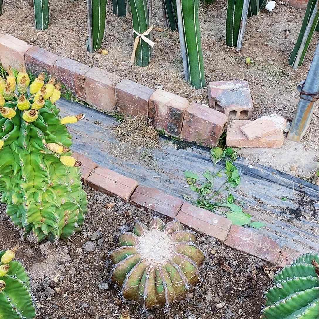 荒****客00000000000000000000