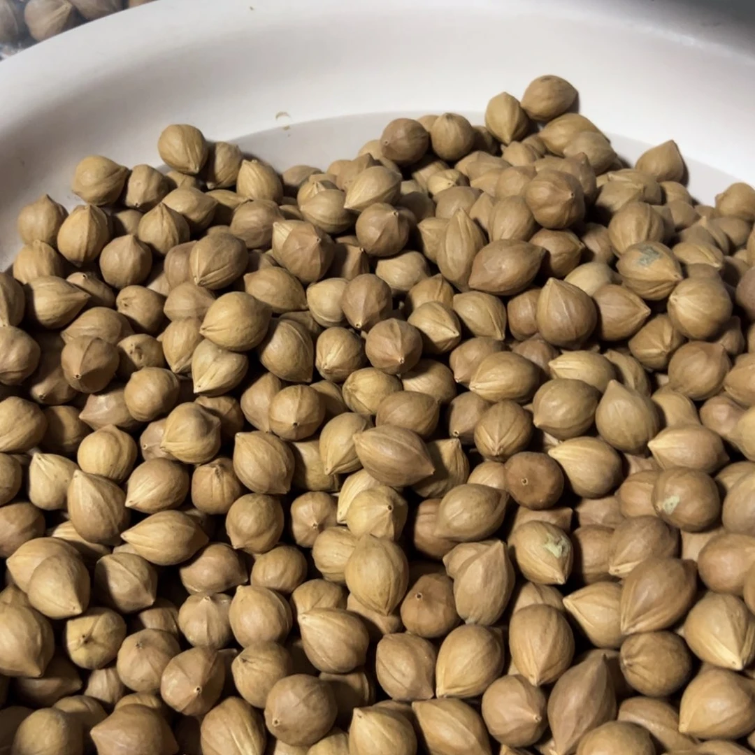 手串/手链橄榄核2.0-2.1+极红短圆橄榄核原料半斤