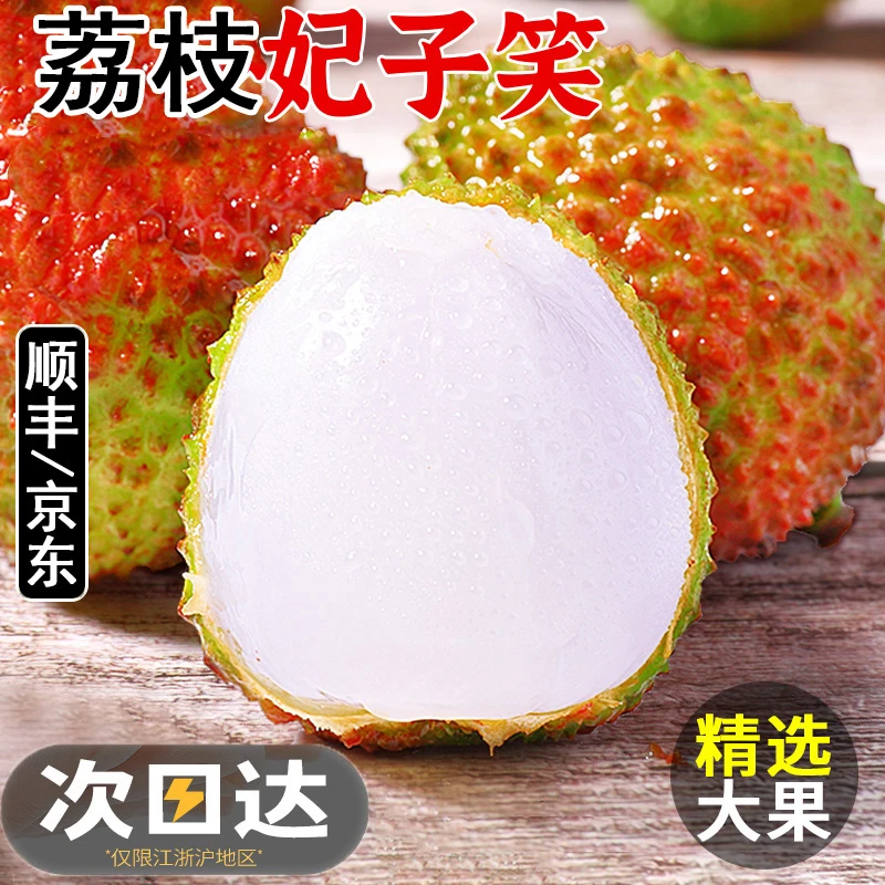 【顺丰京东明日送达】广东妃子笑荔枝3/5斤单果15-20g水果新鲜当季整箱顺丰包邮孕妇3三月桂花特大果荔香【吴】