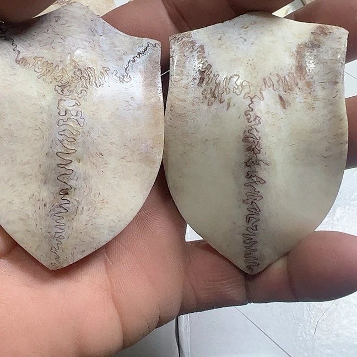 手***.树脂纯铜养殖鹿骨制作三届牌