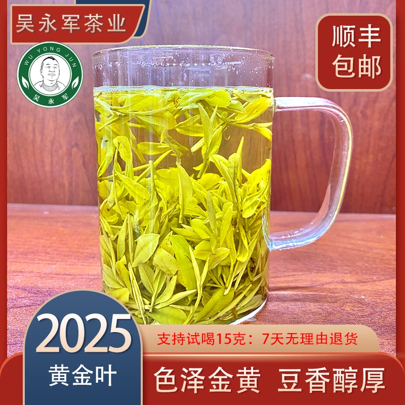 ~2025年春茶新茶288黄金叶