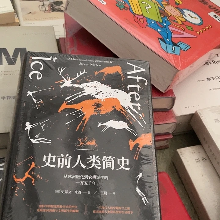 史前人类简史微瑕微瑕