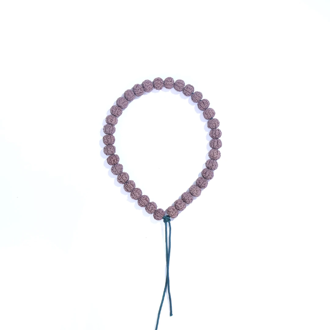 【老树王】小金刚 黄金甲