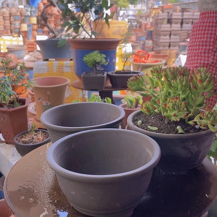 紫砂宜兴紫砂富贵一组3个20