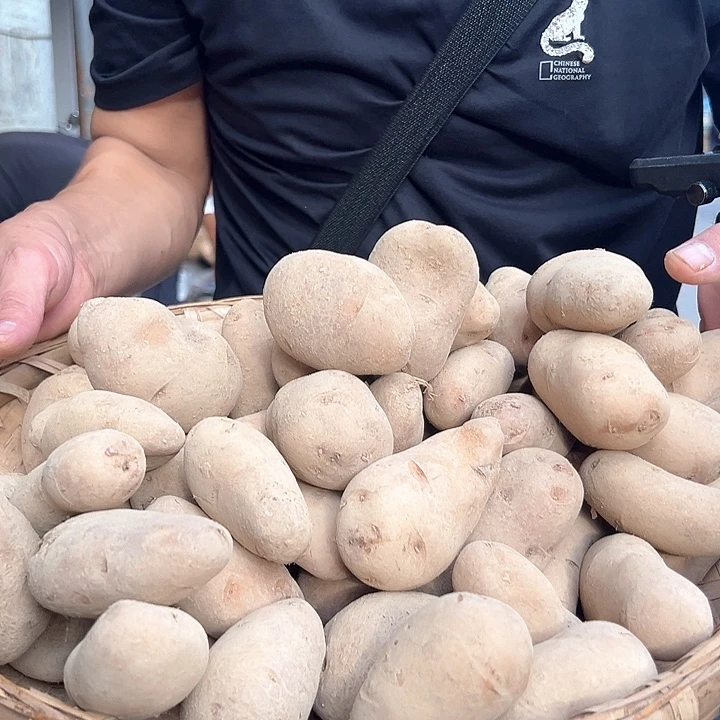 中国大陆高山麦黄百9九