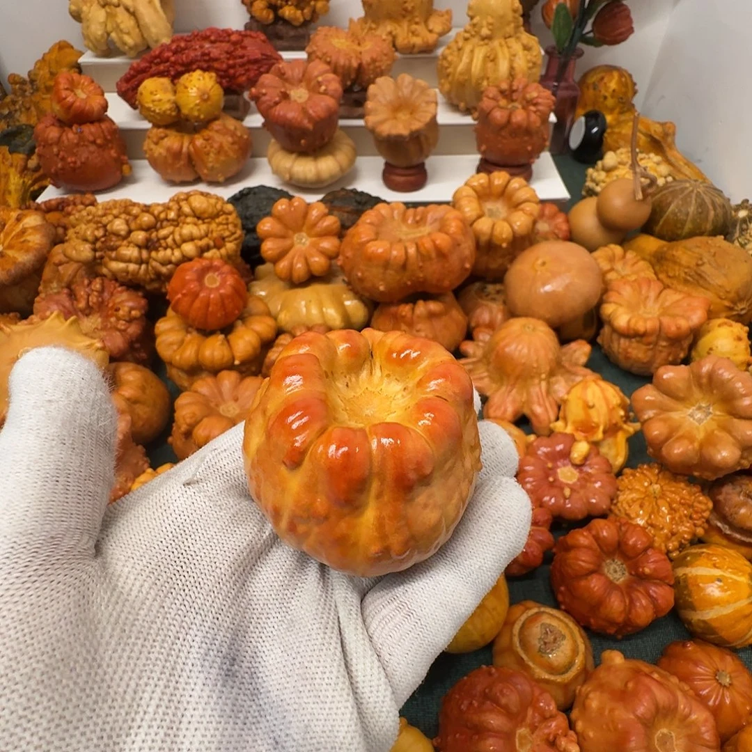 龍***龘墨西哥葫芦聚宝盆