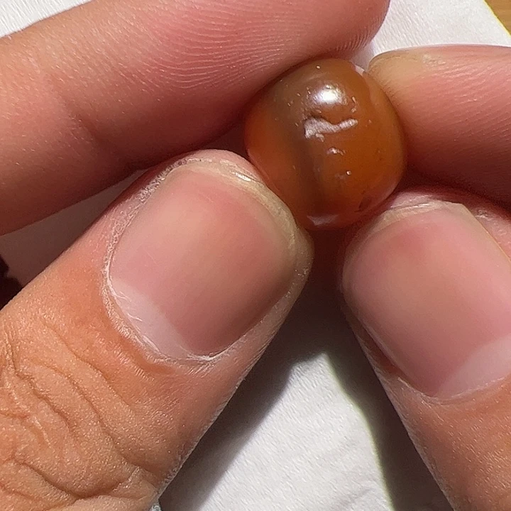 香榧木在这里的时候