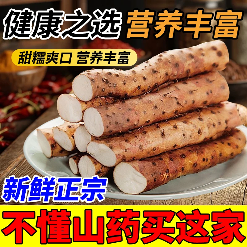 河南焦作温县垆土铁棍山药新鲜现挖怀山药面糯香甜营养健康食材