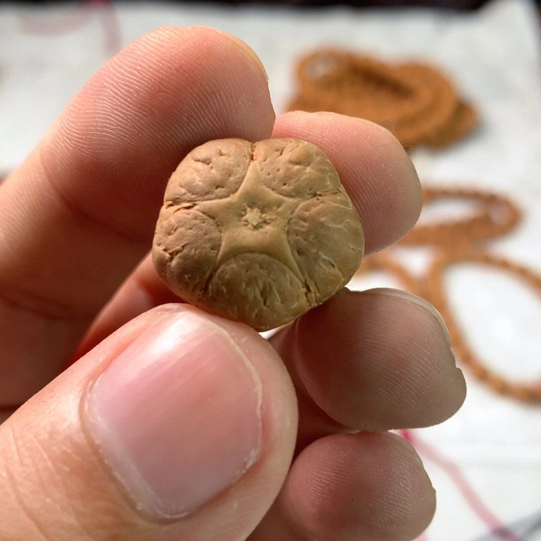 凤眼菩提手串20.4五星