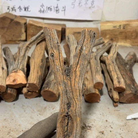 大果紫檀（缅甸花梨）青***再