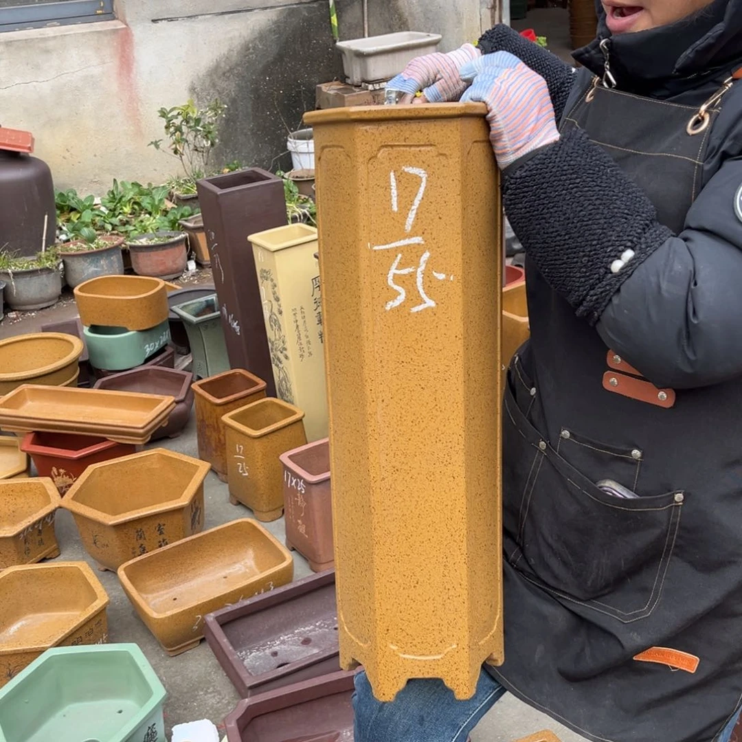 紫砂花盆盆景艺术